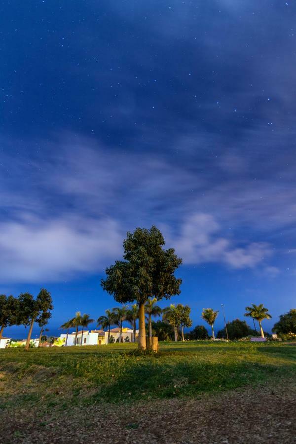 Terraza Vista Oceano La Quinta Lejlighed Santa Úrsula Eksteriør billede