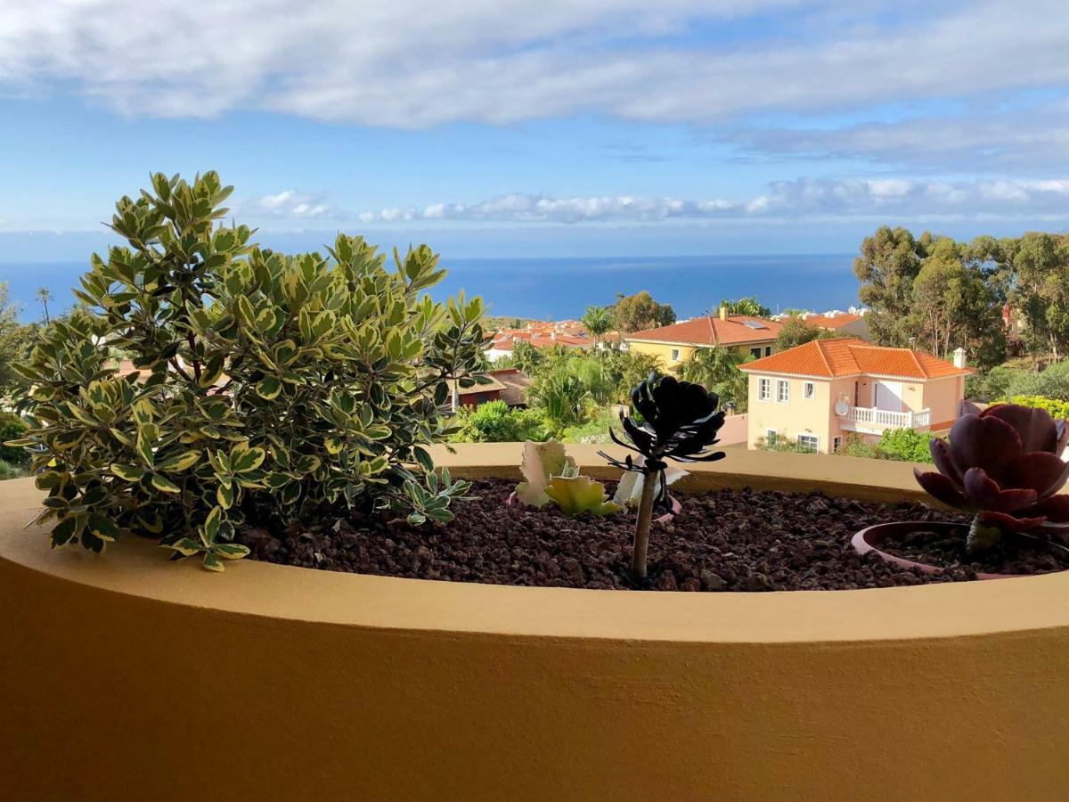 Terraza Vista Oceano La Quinta Lejlighed Santa Úrsula Eksteriør billede