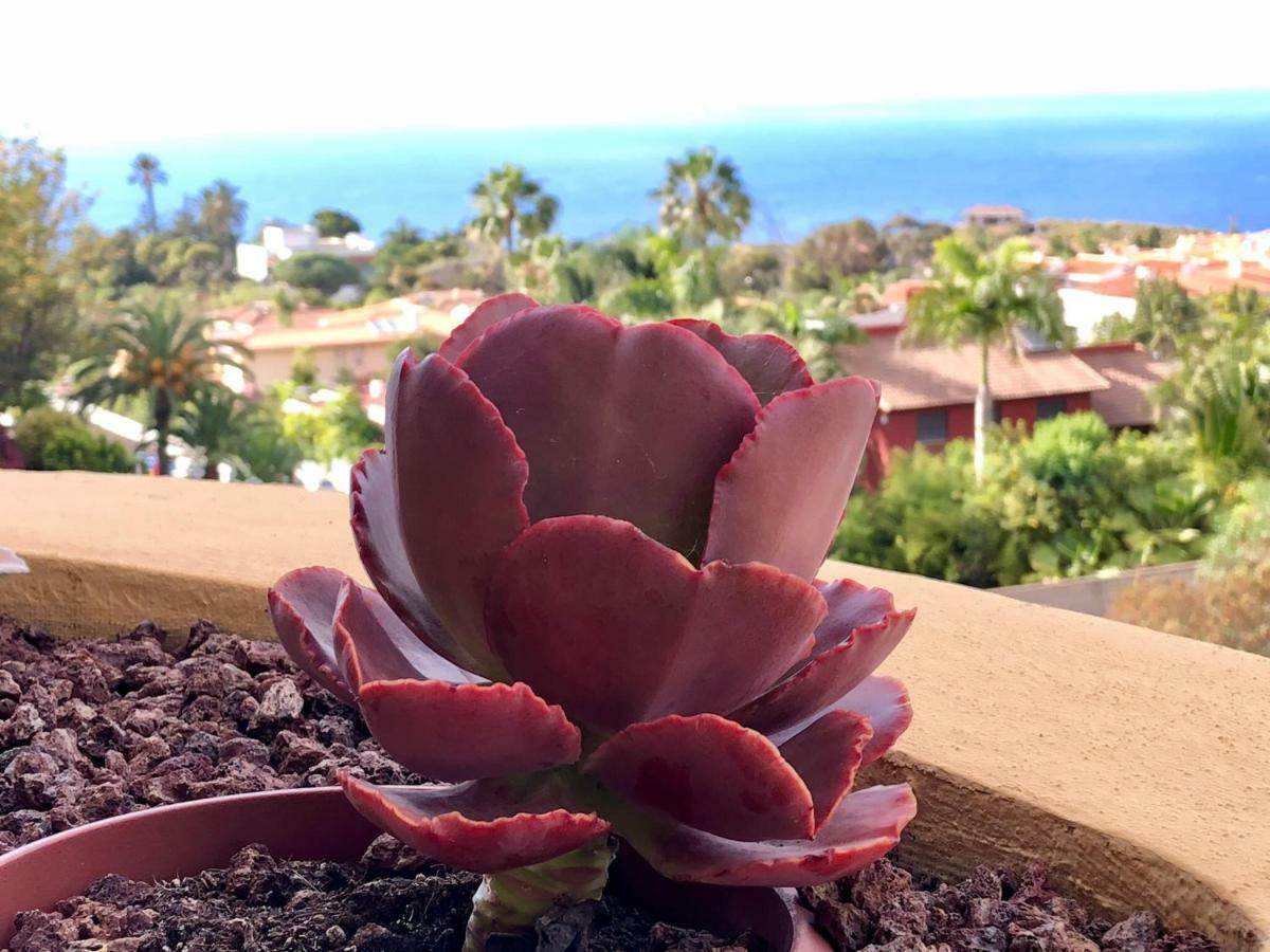 Terraza Vista Oceano La Quinta Lejlighed Santa Úrsula Eksteriør billede