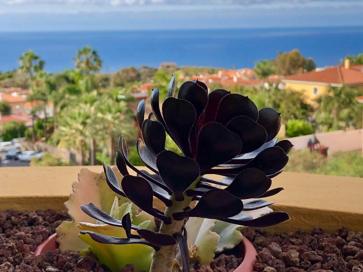 Terraza Vista Oceano La Quinta Lejlighed Santa Úrsula Eksteriør billede